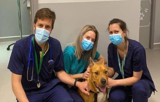 L'équipe d'urgentiste avec un Am Staf admis en urgences pour convulsions