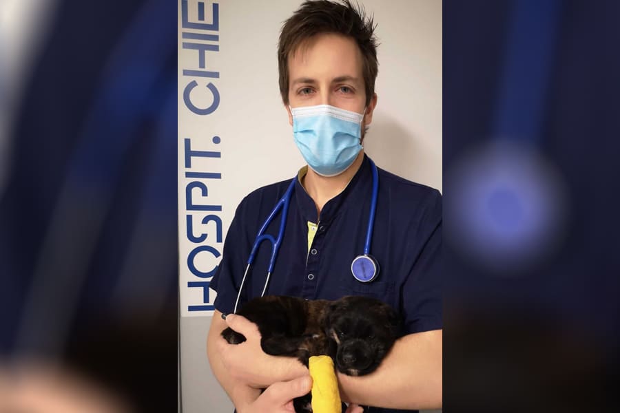 Urgences vétérinaires Mermoz Vet Julien TRNKA